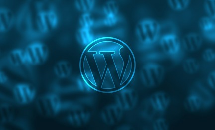5 Things to look for when selecting a WordPress Theme