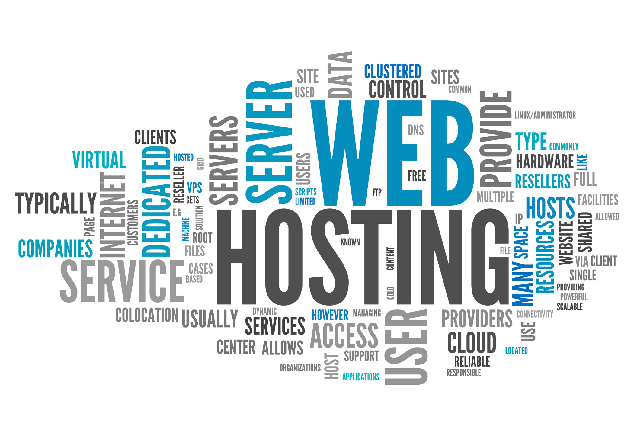 Website Hosting